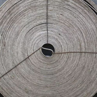 Ленты из сплава с заданными свойствами упругости 0.12 мм 42НХТЮА ГОСТ 10994-74