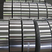 Прецизионная фольга 0.011 мм 77НМДП