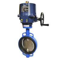 Затворы дисковые с электроприводом 50 мм ВЧШГ