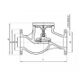 Клапан латунный невозвратный проходной фланцевый