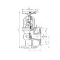 Клапан латунный невозвратно-запорный угловой фланцевый